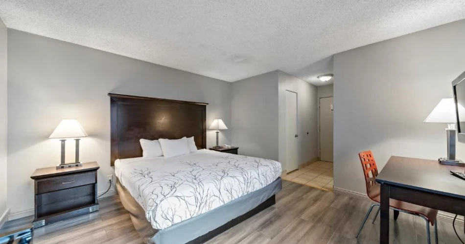 Top Hotels By Dodger Stadium for Sports Fans and Travelers